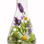 Lavanda e Camomilla